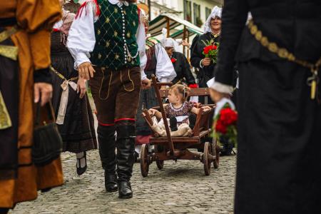 Povorka ob dnevih narodnih noš in oblačilne dedščine (89)